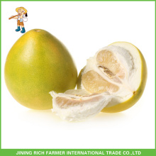 Chinese Sweet New Crop Fresh Pomelo 11Kg Carton